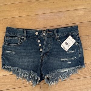 Free People Distressed Blue Jean Shorts